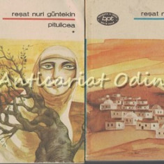 Pitulicea I, II - Resat Nuri Guntekin