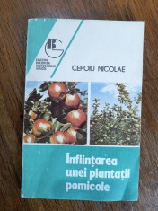 Infiintarea unei plantatii pomicole - Cepoiu Nicolae / R4P3F