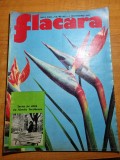 Flacara 1 decembrie 1973-cenaclul in jud. harghita,miercurea ciuc,orasul arad