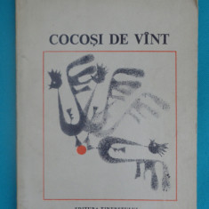 Radu Boureanu – Cocosi de vant