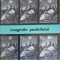 IMAGINILE POSIBILULUI. FILMUL STIINTIFICO=FANTASTIC-ION HOBANA-244288