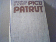 Picu Patrut - MINIATURI SI POEZIE { 1985 } foto