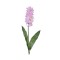 Floare decorativa artificiala, Crizantema, Roz, 53 cm, ATU-084037