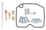 Kit reparatie carburator; pentru numarul de carburatoare 1 (pentru uz sportiv) pentru ARCTIC CAT ARCTIC CAT 650 2009-2009