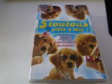 5 toutous, dvd