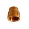 ProGARDEN Niplu alama redus 1/2-1 ProAdvanced PowerfulTools
