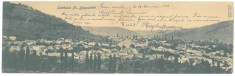 4270 - BOCSA MONTANA, Caras Severin, Panorama, Litho, Romania - old double postcard - used - 1903