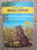 PACALEALA BURSUCULUI - Eugen Jianu