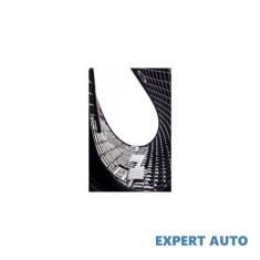 Covoare cauciuc renault scenic i 1996-2003 cod: 546641 / p100 Alta marca Alt model #7
