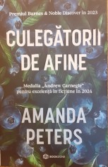 Culegatorii de afine foto