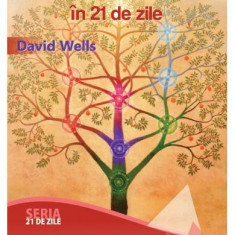 Învață cum să înțelegi Cabala în 21 de zile - Paperback brosat - David Wells - For You