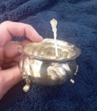 Recipient cu lingurita argintat pentru sare