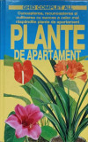 PLANTE DE APARTAMENT-MARIA TERESA DELLA BEFFA