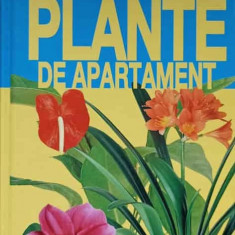 PLANTE DE APARTAMENT-MARIA TERESA DELLA BEFFA