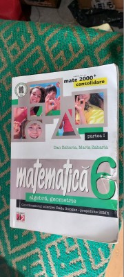 MATEMATICA ALGEBRA GEOMETRIE CLASA A VI A RADU GOLOGAN foto