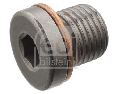 FEBI BILSTEIN 101021 surub de golire,baia de ulei