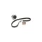 Set pompa apa + curea dintata FIAT PANDA 169 DAYCO KTBWP5130