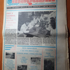 magazin 23 septembrie 1989-articol despre transportul urban subteran