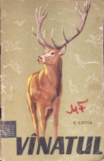 VANATUL-V. COTTA-347729