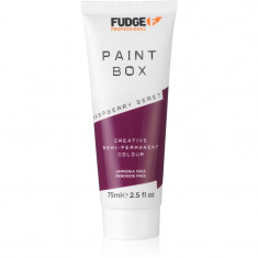 Fudge Paintbox vopsea de par semi-permanenta pentru păr culoare Raspberry Beret 75 ml