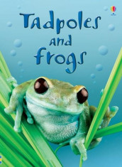 Beginners Tadpoles and Frogs - Carte Usborne (4+) foto