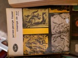 Creanga de aur 4 vintage