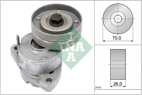 INA 534 0118 20 Intinzator curea, curea distributie