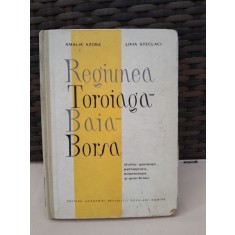 Regiunea TOROIAGA -- BAIA -- BORSA - studiu geologic, petrografic, mineralogic si geochimic, A.SZOKE, L.STECLACI, ed.1962,
