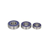 Cumpara ieftin Kit Rulmenti Roata spate Honda Goldwing Kawasaki All Balls 25-1056