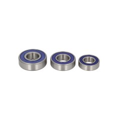Kit Rulmenti Roata spate Honda Goldwing Kawasaki All Balls 25-1056