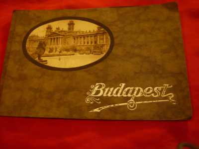 Album Fotografii Budapesta cu 18 imagini mari 23x15,5cm ,sfarsit sec.XIX foto