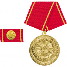 Medalie Militara FUR 20 JAHRE TREUE DIENSTE Minister Aurie RDG - Surplus Militar