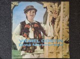 CANTA MARAMURESUL - Viorel Costin