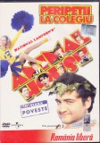 DVD Film comedie: Peripetii la colegiu - National Lampoon's Animal House
