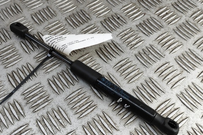 Amortizor capota st&acirc;nga față BMW 3 G20, G28 2022 OEM: 7419387 | 31204388