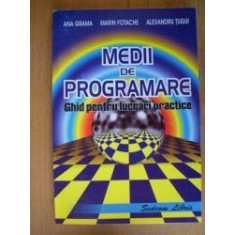 Medii de programare