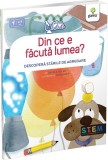 Din ce e facuta lumea? Descopera starile de agregare - David A. Adler - Gama