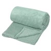 Patura Catifelata Dubla Verde Menta 220x200cm, Oem