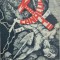 CANALUL MORTII ION CARJA 1974 NEW YORK EDIT ACTIUNEA ROMANEASCA DETINUT POLITIC