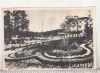 Bnk cp Sovata - Vedere din parc - circulata 1956 - Libraria noastra, Printata