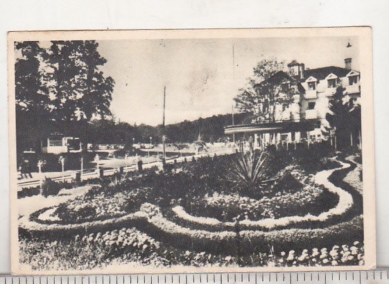 bnk cp Sovata - Vedere din parc - circulata 1956 - Libraria noastra