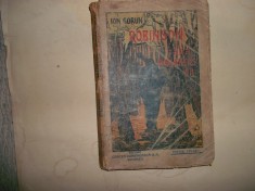 Ion Gorun -Robinson in Tara Romaneasca foto