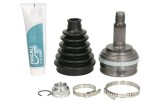 Set articulatie, planetara PASCAL G10024PC