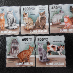 GUineea BIssau-Fauna ,pisici-serie completa ,MNH