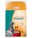 Amestec alge marine, Colombine Seaweed Grit, 2.5 kg, Versele Laga