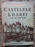 Castelele Loarei Evocari din trecutul Frantei- Alice Basarab