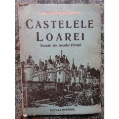 Castelele Loarei Evocari din trecutul Frantei- Alice Basarab
