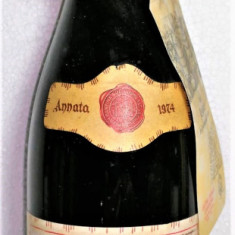 B 62, VIN ROSU REFOSCO DAL PEDUNCOLO ROSSO, Recoltare 1974 CL 72 GR 13