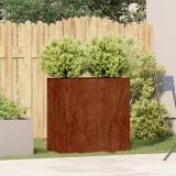 vidaXL Jardinieră Rusty 80x40x80 cm Oțel pentru intemperii 860716