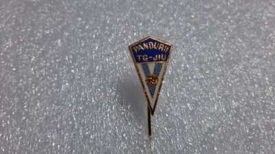 insigna Pandurii Tg, Jiu foto